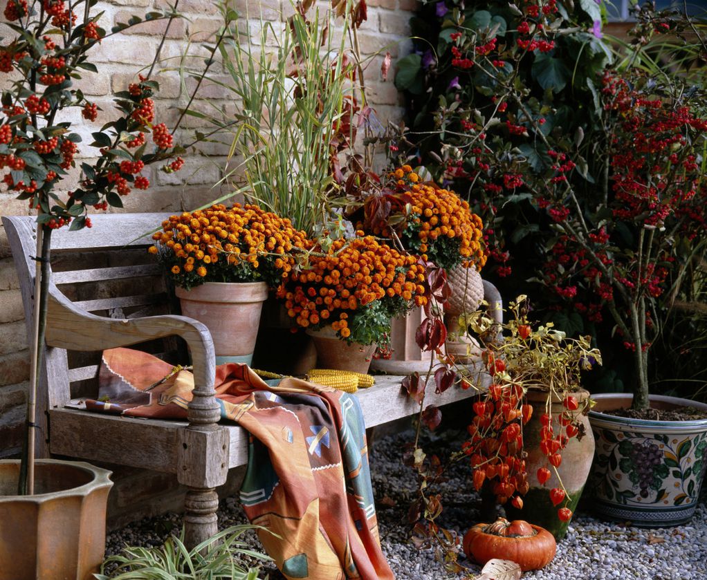 10 магични сцени поради кои ќе сакате да ја поминете есента на тераса или во градината