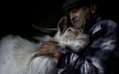 Фотографии со кои мобилната апликација Агора го прослави меѓународниот ден на мирот