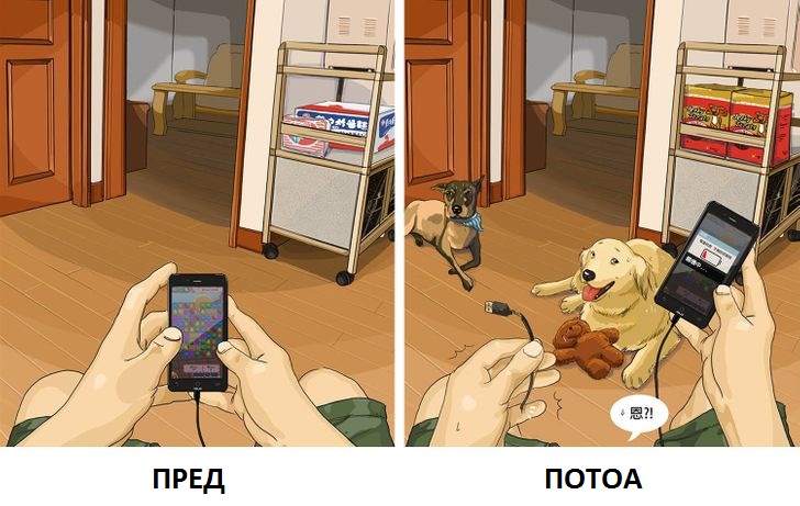Илустрации што покажуваат како изгледа животот пред да имате домашно милениче и потоа