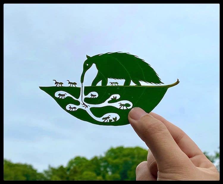 Лисја претворени во деликатни уметнички дела