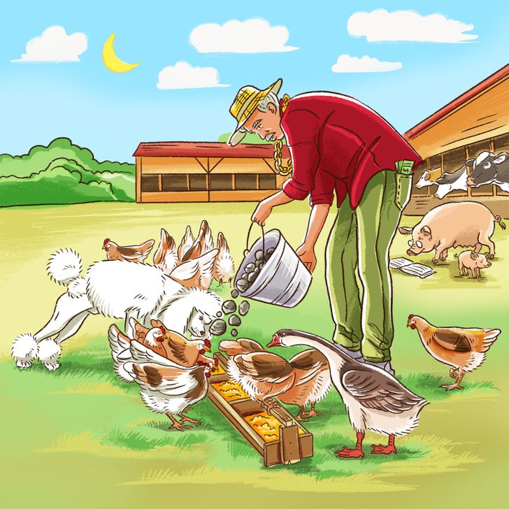 Тест: Пронајдете ги сите грешки во овие 10 илустрации