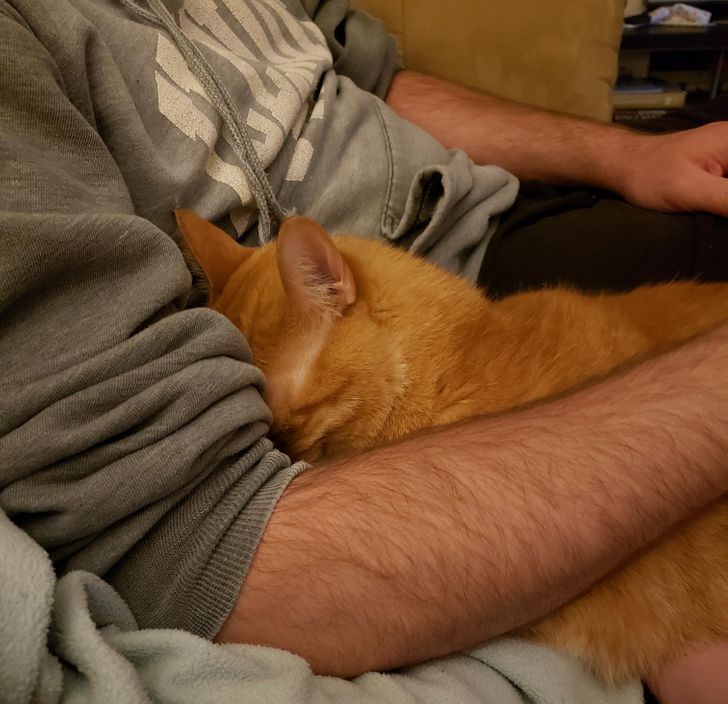 15 фотографии од слатки прегратки што ќе ве стоплат оваа есен