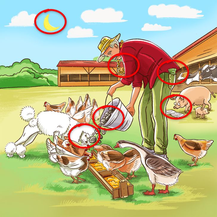 Тест: Пронајдете ги сите грешки во овие 10 илустрации