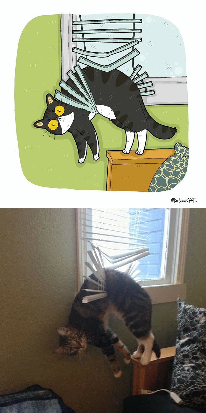 Артист претвора фотографии од мачки во смешни илустрации