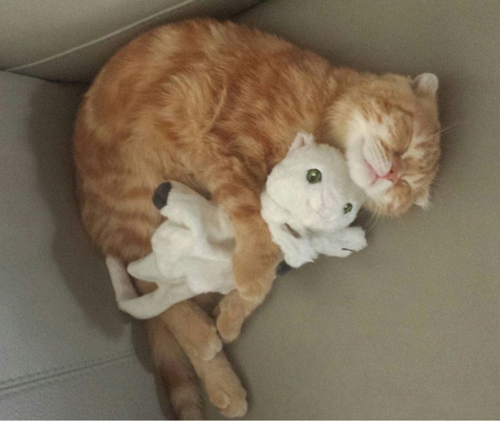 15 фотографии од слатки прегратки што ќе ве стоплат оваа есен