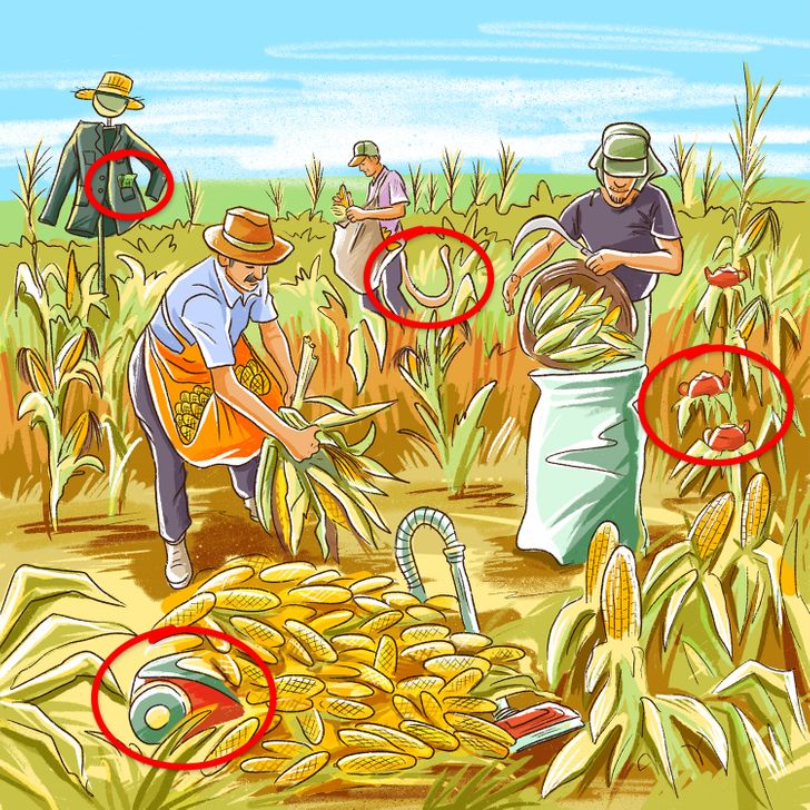 Тест: Пронајдете ги сите грешки во овие 10 илустрации