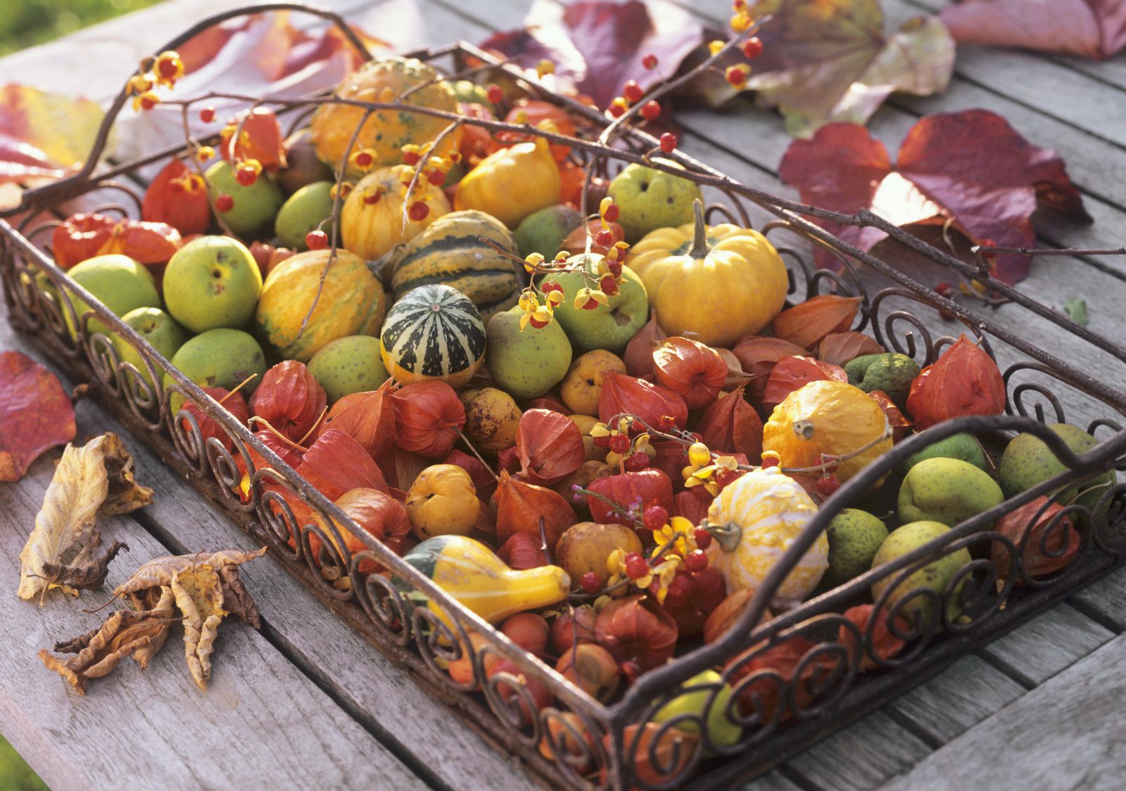 Бесплатно и убаво: Како најубавите есенски украси од природата да станат дел од домот?