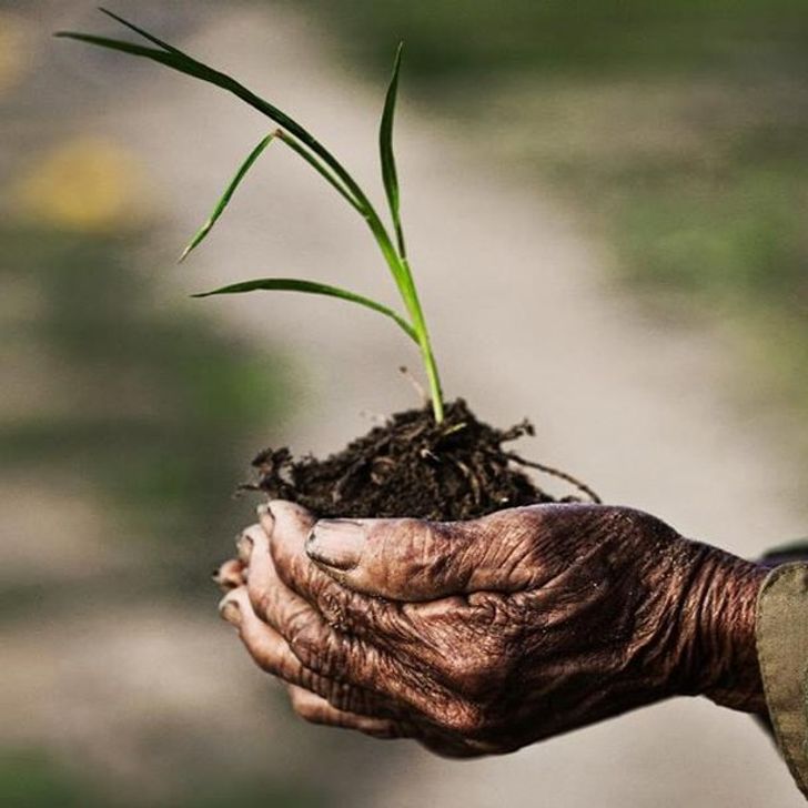 Француски фотограф се вљубил во Виетнам и го нарекол мозаик на контрасти