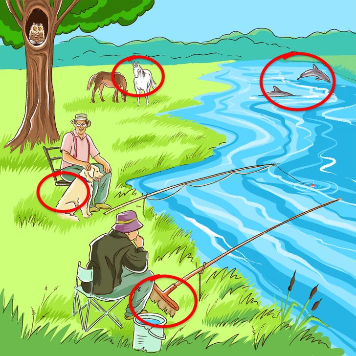 Тест: Пронајдете ги сите грешки во овие 10 илустрации