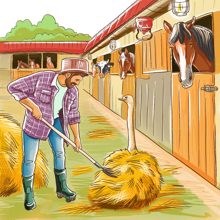 Тест: Пронајдете ги сите грешки во овие 10 илустрации