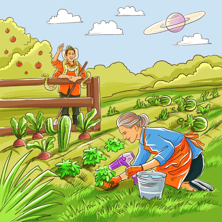 Тест: Пронајдете ги сите грешки во овие 10 илустрации