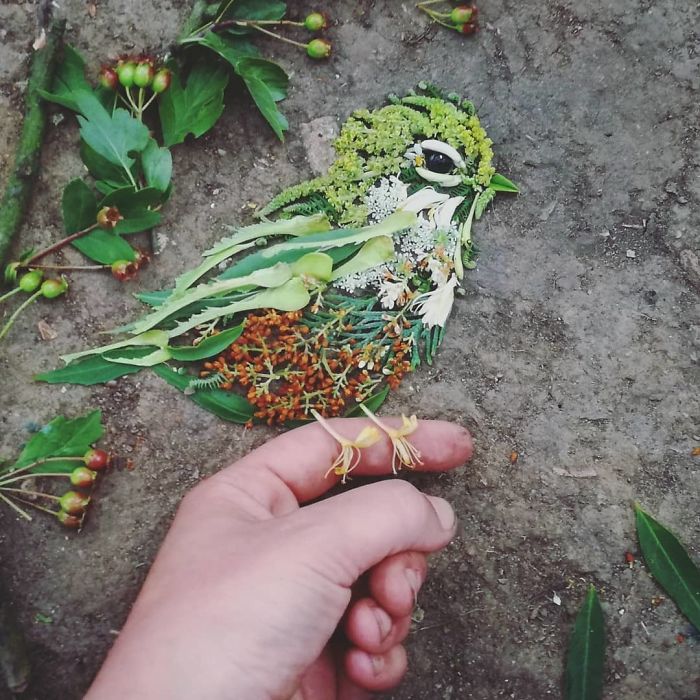 Уметничка користи природни материјали за да создаде шарени портрети на птици