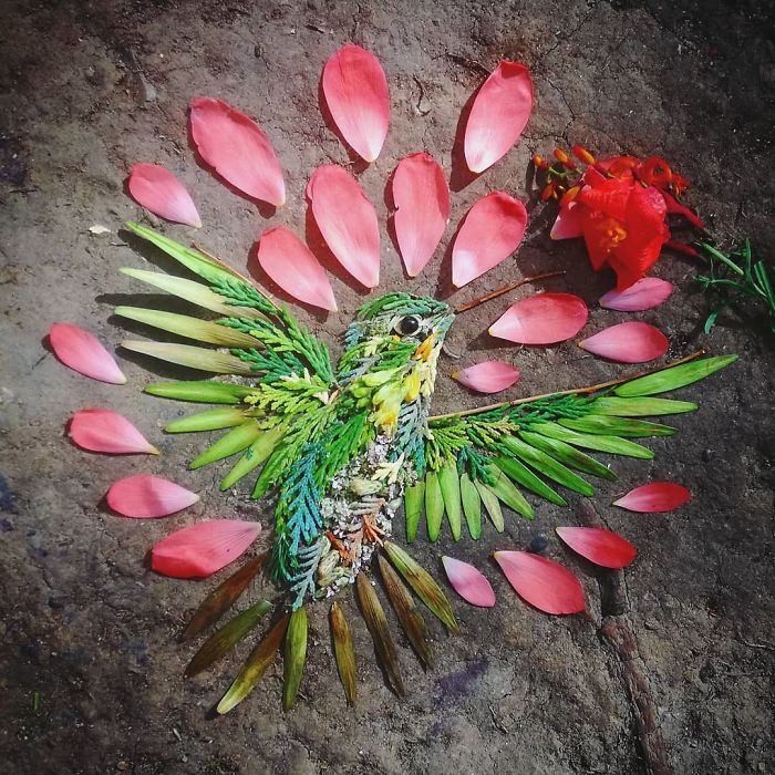 Уметничка користи природни материјали за да создаде шарени портрети на птици