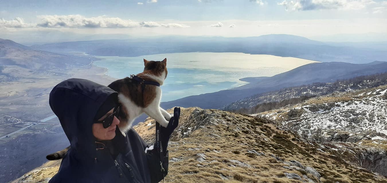 Запознајте ја мачката која се искачи на највисокиот врв во Австрија