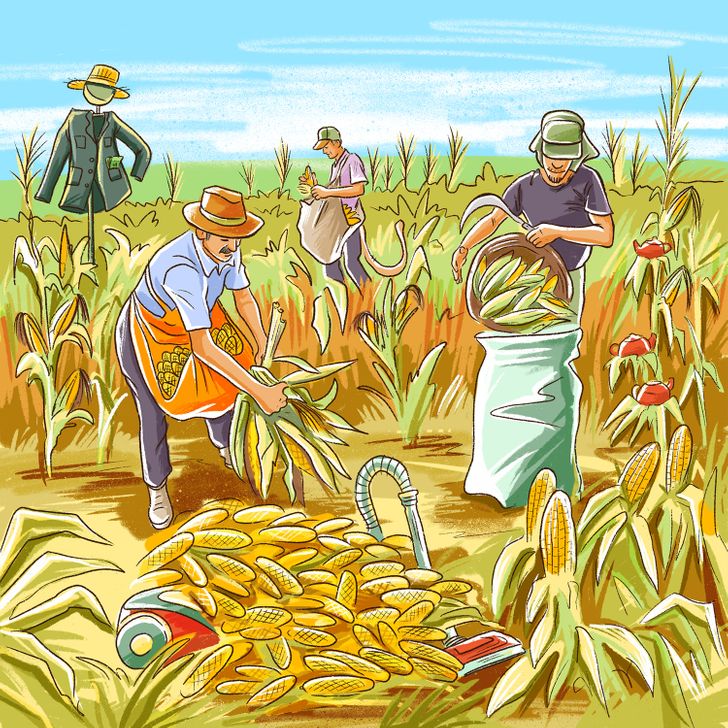 Тест: Пронајдете ги сите грешки во овие 10 илустрации