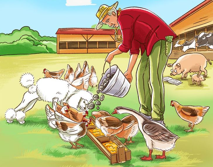 Тест: Пронајдете ги сите грешки во овие 10 илустрации