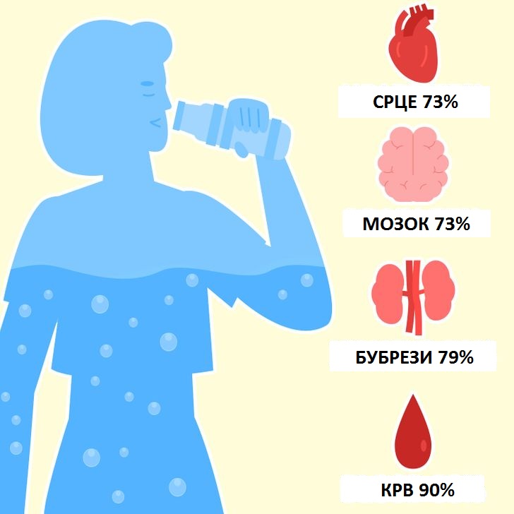 Како да пресметате колку чаши вода треба да пиете секој ден?