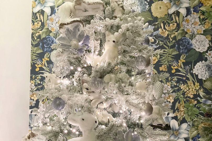 Загатка: Можете ли да го пронајдете мачето скриено во оваа новогодишна елка?