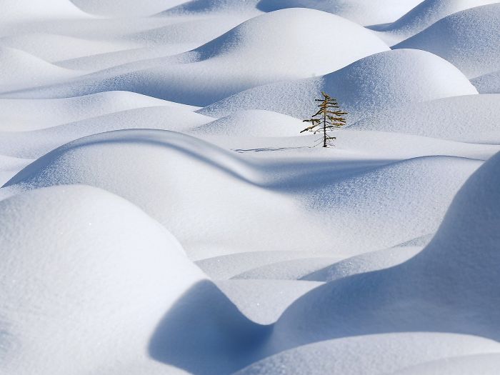 20 ситуации во кои луѓето направиле совршени фотографии од снегот