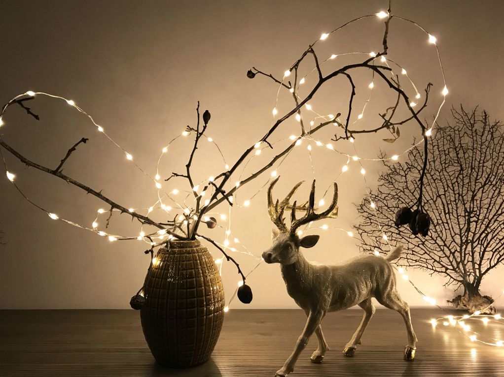 10 идеи за украсување на вашиот дом со новогодишни ламбички