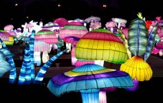 Невообичаено: Сцените од фестивалот на светлата во Њујорк ќе ве остават без здив!