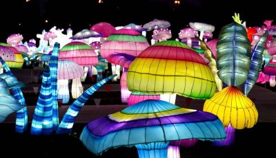 Невообичаено: Сцените од фестивалот на светлата во Њујорк ќе ве остават без здив!