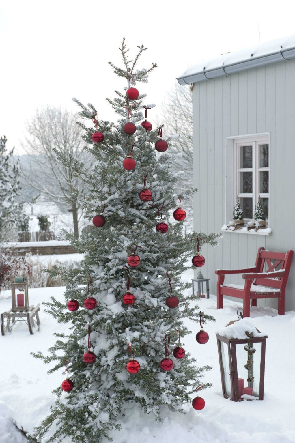 Елки што ќе го направат дворот да изгледа како од божиќен филм