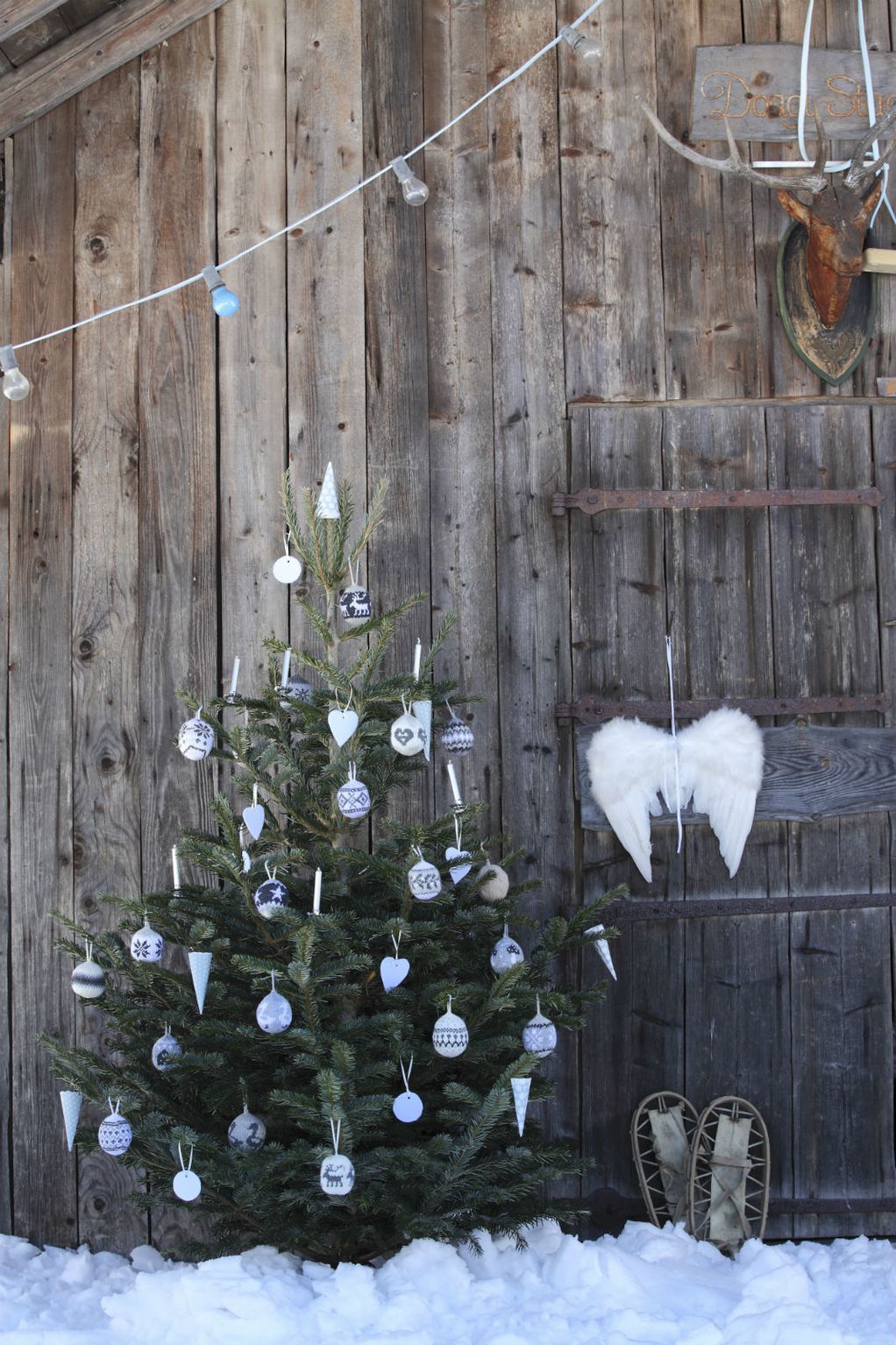 Елки што ќе го направат дворот да изгледа како од божиќен филм