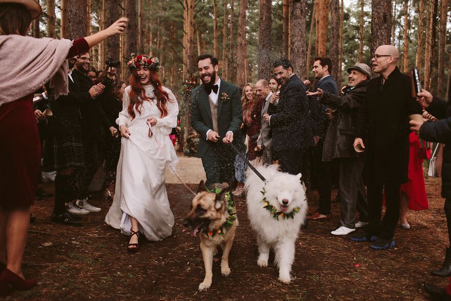 Најдобрите свадбени фотографии од различни делови на светот