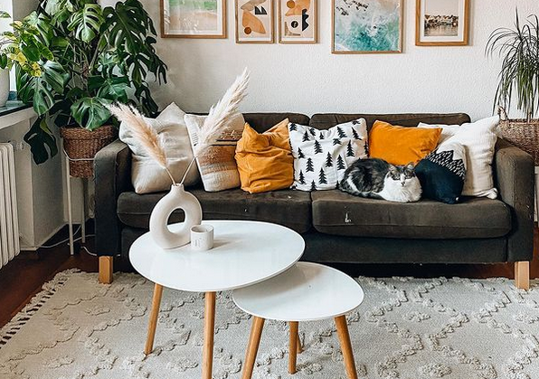 Како да го освежите ентериерот со декоративни перници?