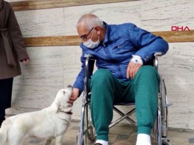 Верно куче го чекаше својот сопственик шест дена пред болница во Турција
