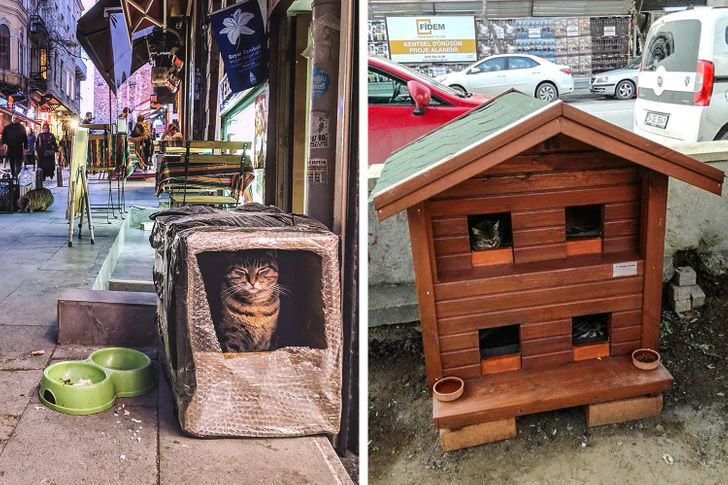 22 фотографии од Истанбул што може да го сменат вашето мислење за Турција