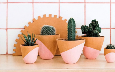Слатки минијатурни кактуси што веднаш ќе посакате да ги имате во вашиот дом