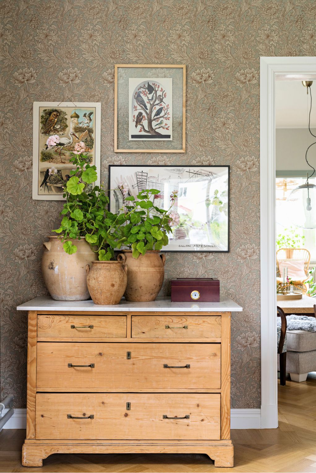 Како да ја украсите дневната соба со растенија?
