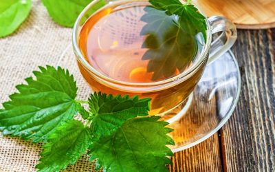 Чајот од ова растение го регулира нивото на шеќер во крвта, го зајакнува имунитетот и содржи многу витамини и минерали