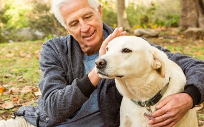 Истражувањата откриваат: Кучињата и луѓето стареат на ист начин