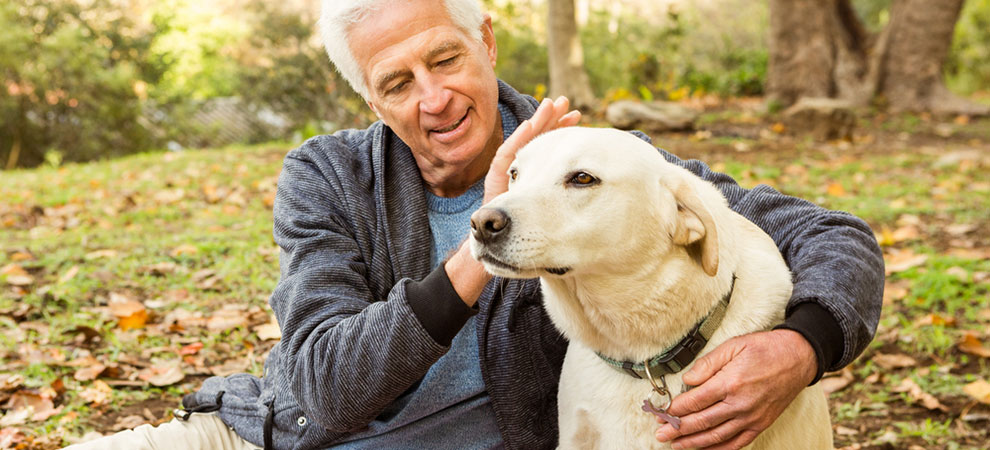 Истражувањата откриваат: Кучињата и луѓето стареат на ист начин