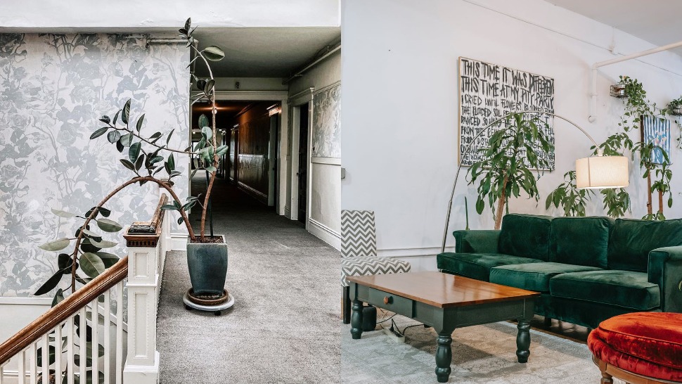 Новиот тренд за украсување на домот се куќните дрвја