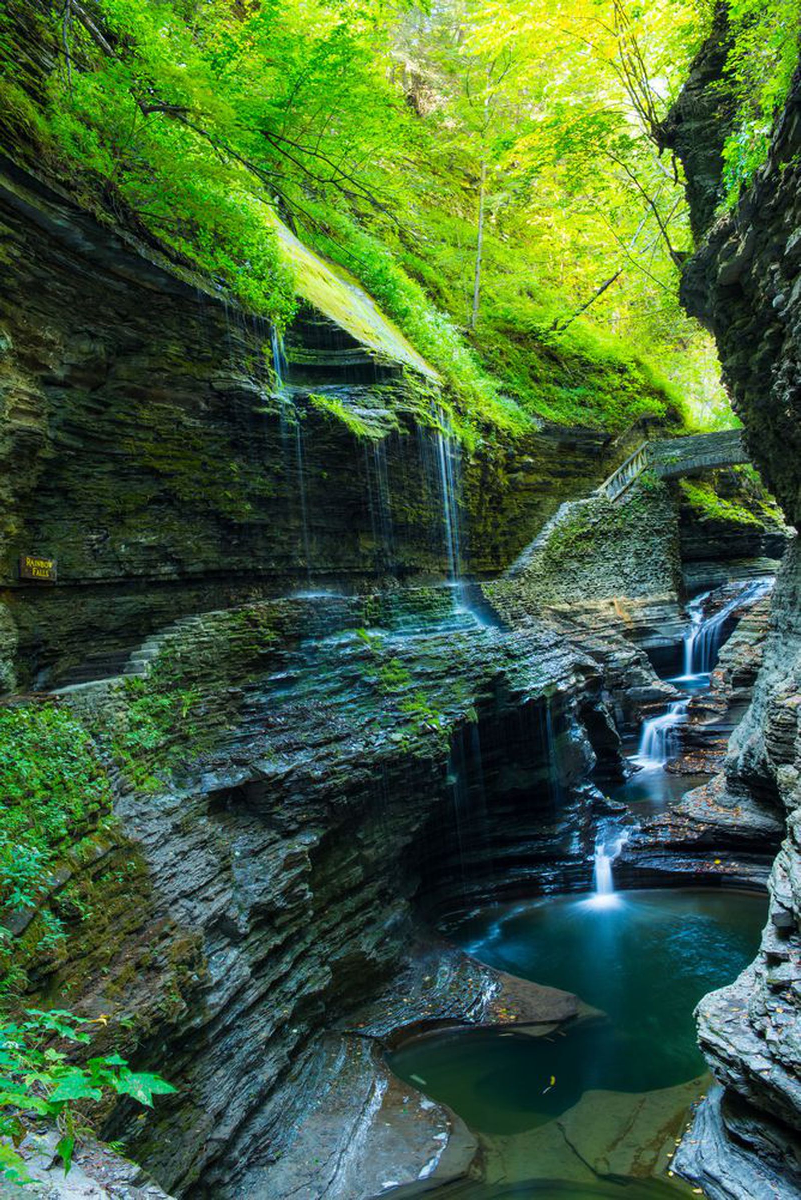 Совршен парк во Њујорк за кој веројатно не знаевте