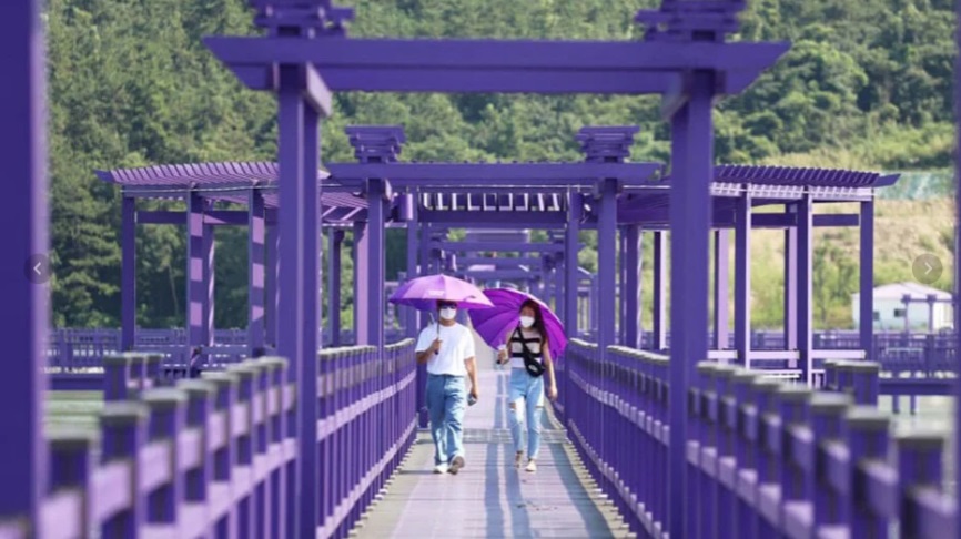 Јужнокорејски остров обои град во виолетова боја за да привлече туристи 