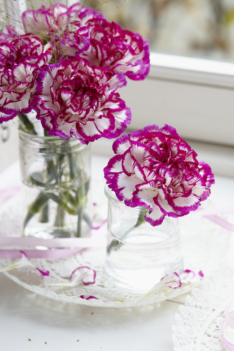 3 растенија што носат среќа, љубов и здравје