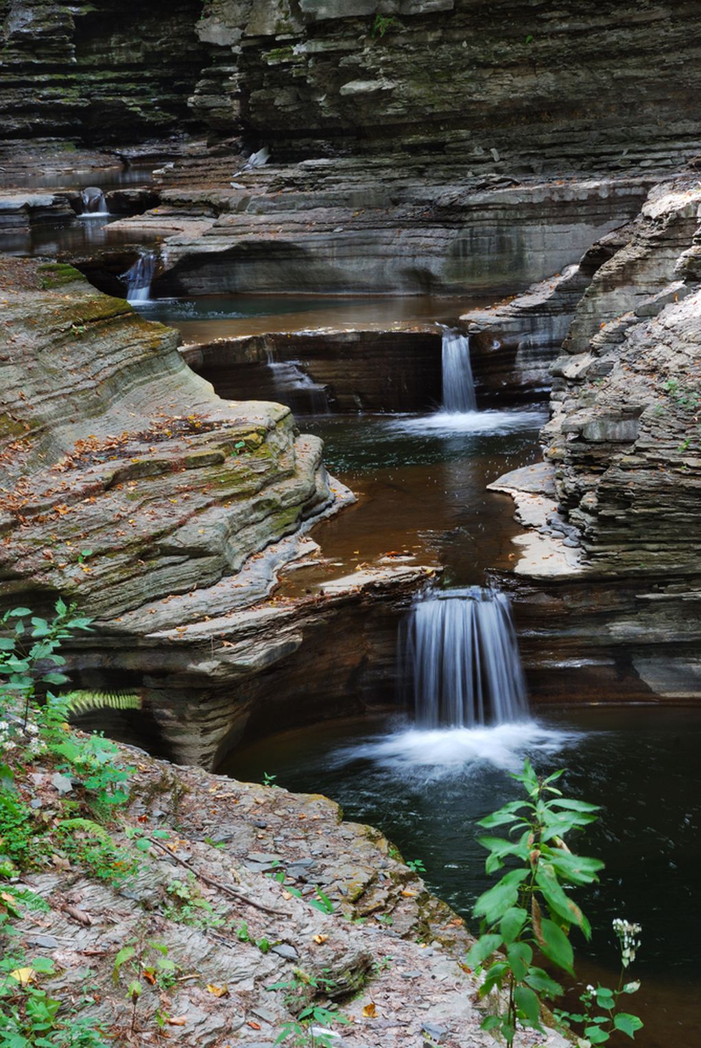 Совршен парк во Њујорк за кој веројатно не знаевте