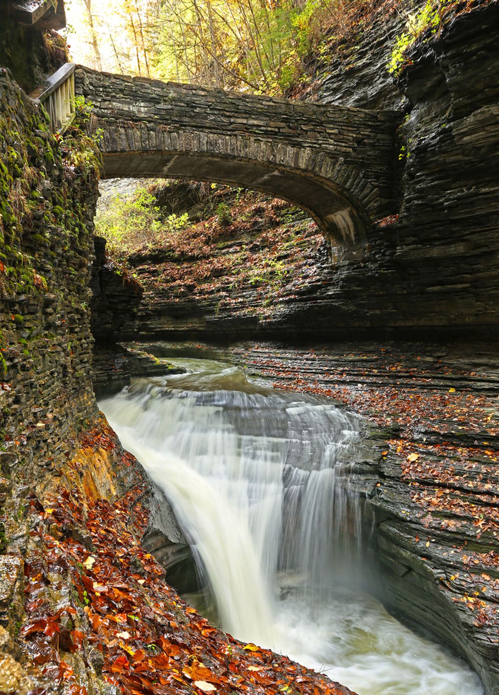 Совршен парк во Њујорк за кој веројатно не знаевте