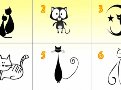 Изберете мачка и откријте нешто за вашиот карактер