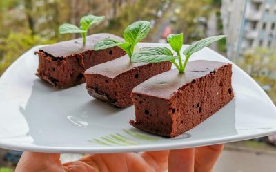 Рецепт за колач што ќе ви помогне да ослабите