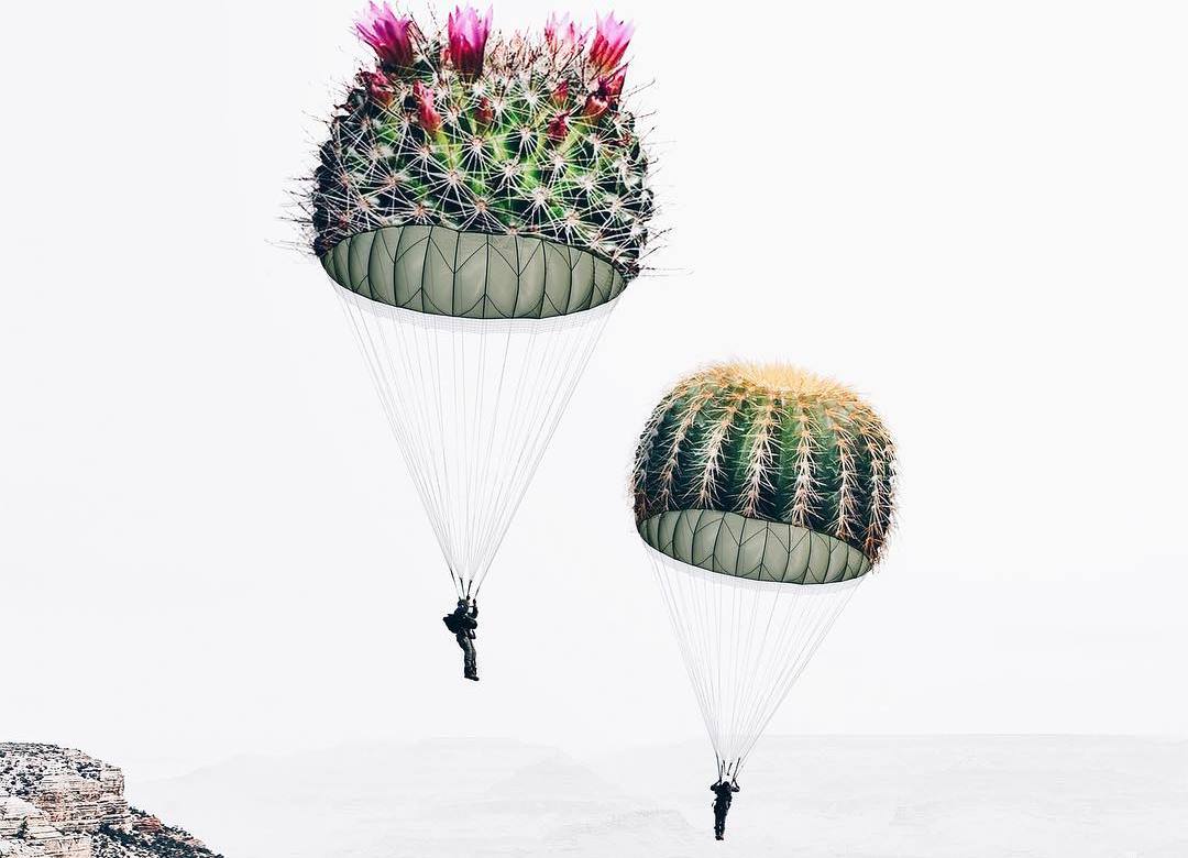 Уметничката Луиза Азеведо комбинира различни предмети за да направи волшебни фотографии