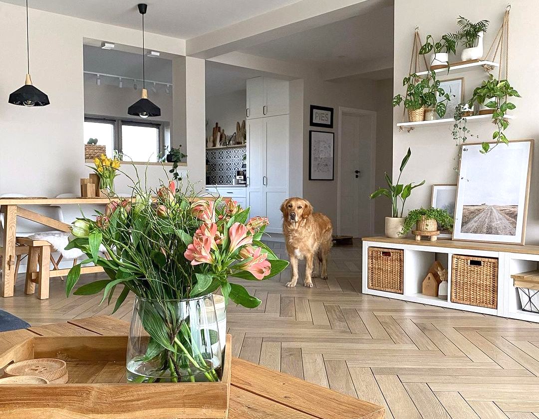 Внесете пролетен оптимизам во вашиот дом со овие неколку совети