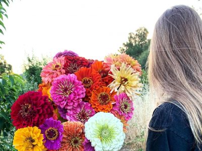 За градина полна со бои и мириси: 10 видови цвеќиња што цветаат во текот на целото лето