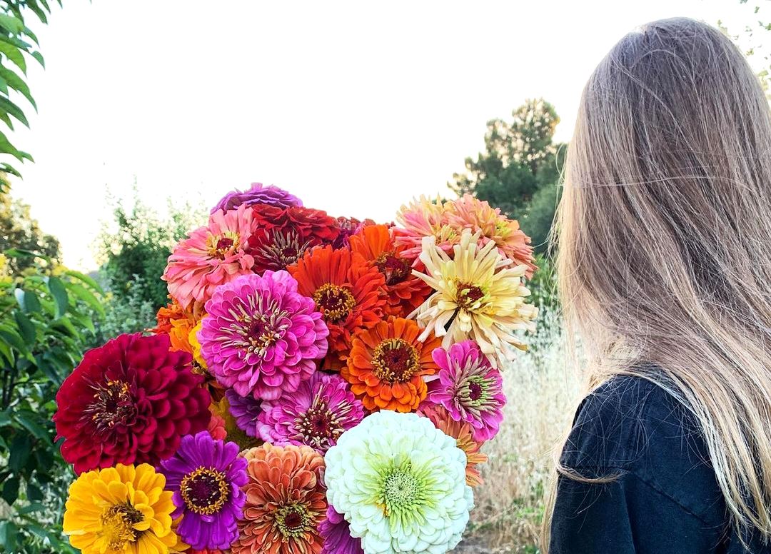 За градина полна со бои и мириси: 10 видови цвеќиња што цветаат во текот на целото лето