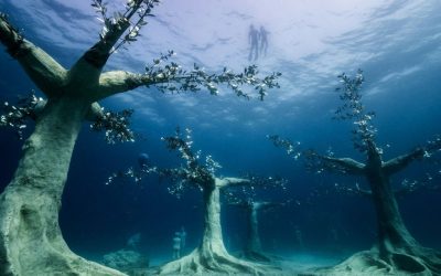 Двесте метри од познатата плажа на Средоземното Море: Првата подводна шума во светот